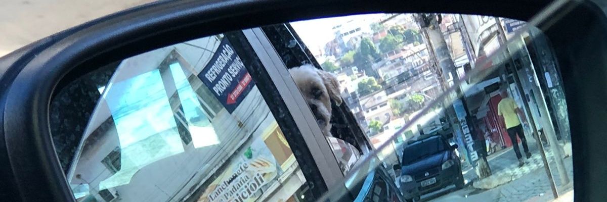 vemchorarcomigo's profile banner image