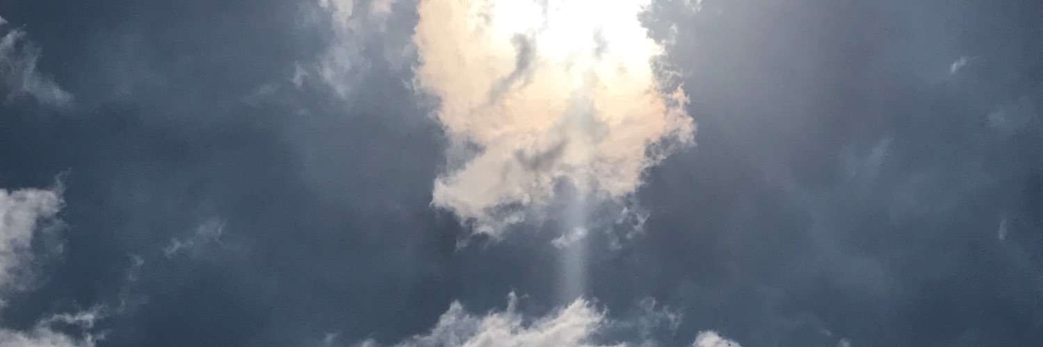 SenioraLia's profile banner image