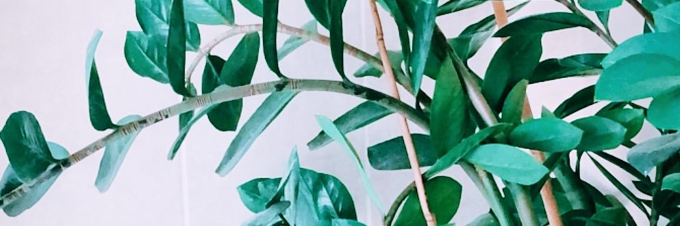 allikj's profile banner image
