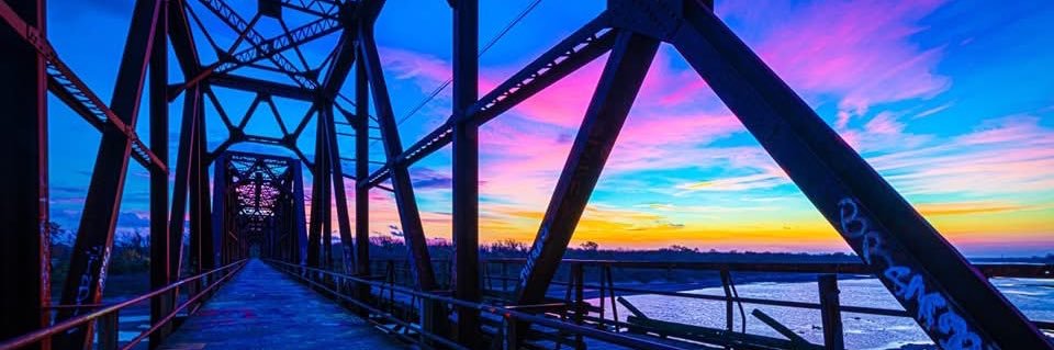 Monica Martin banner