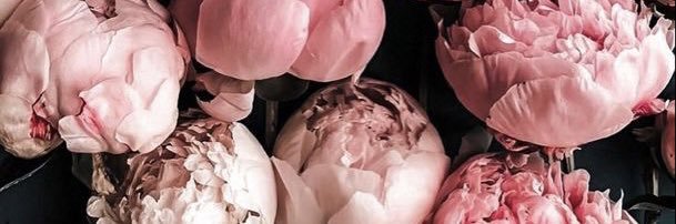 Marvic Carrillo Terrazas banner