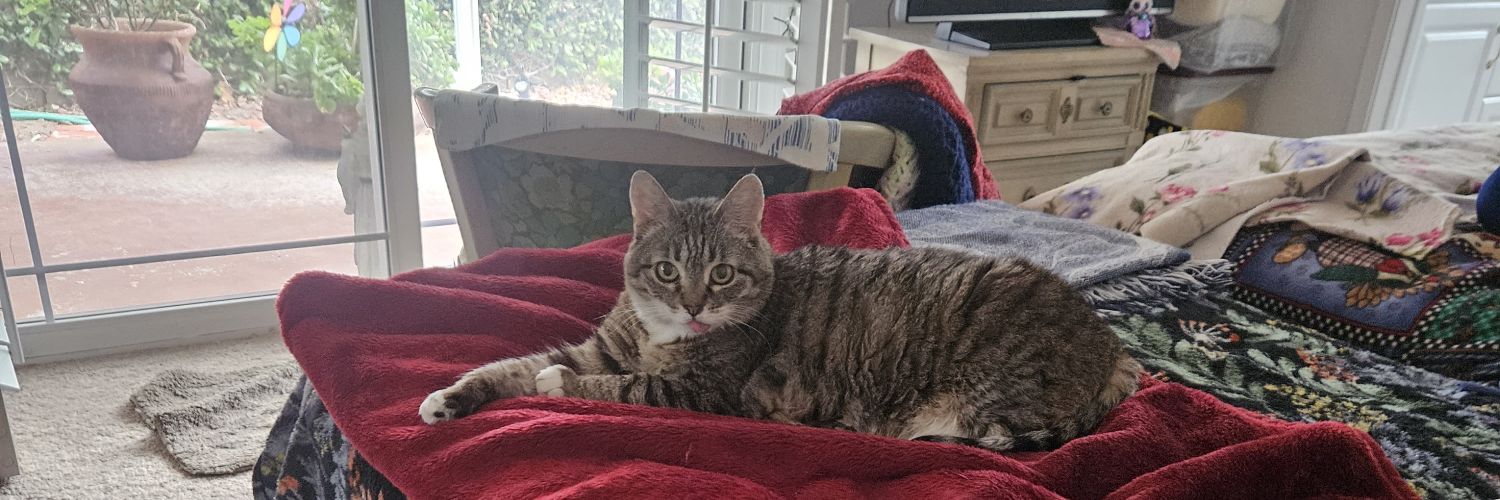 maryandmesee's profile banner image
