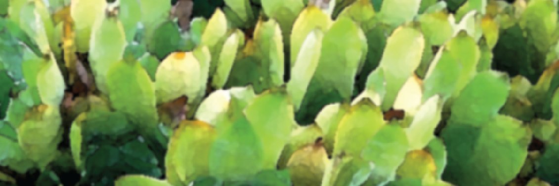 nickydoodle's profile banner image