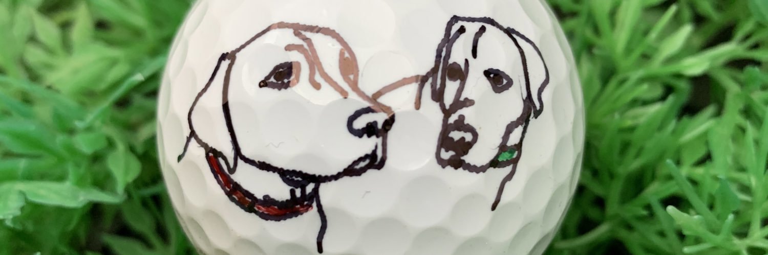 scriptoball's profile banner image