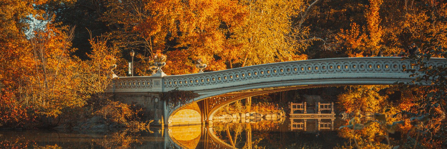 Guillermo  Roquett banner