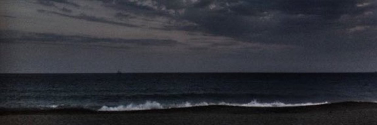 wllrl's profile banner image