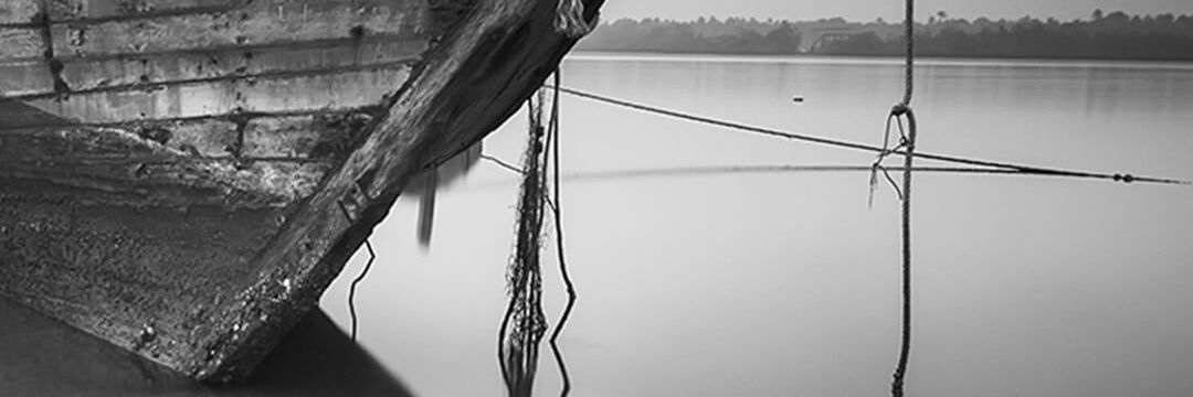 WarrenMcDonald2's profile banner image