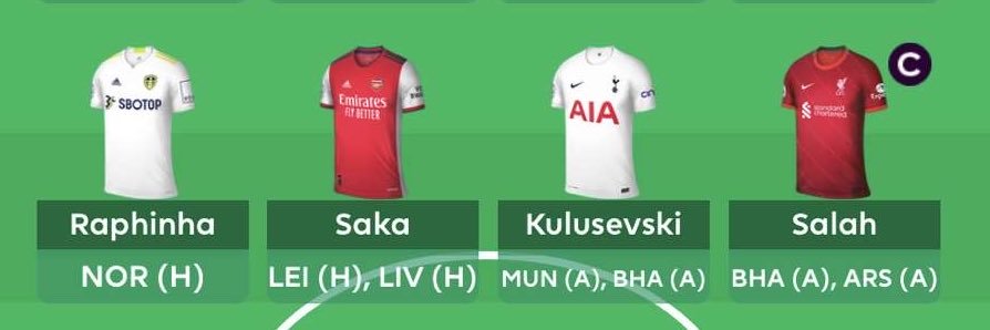 FPL Luca banner