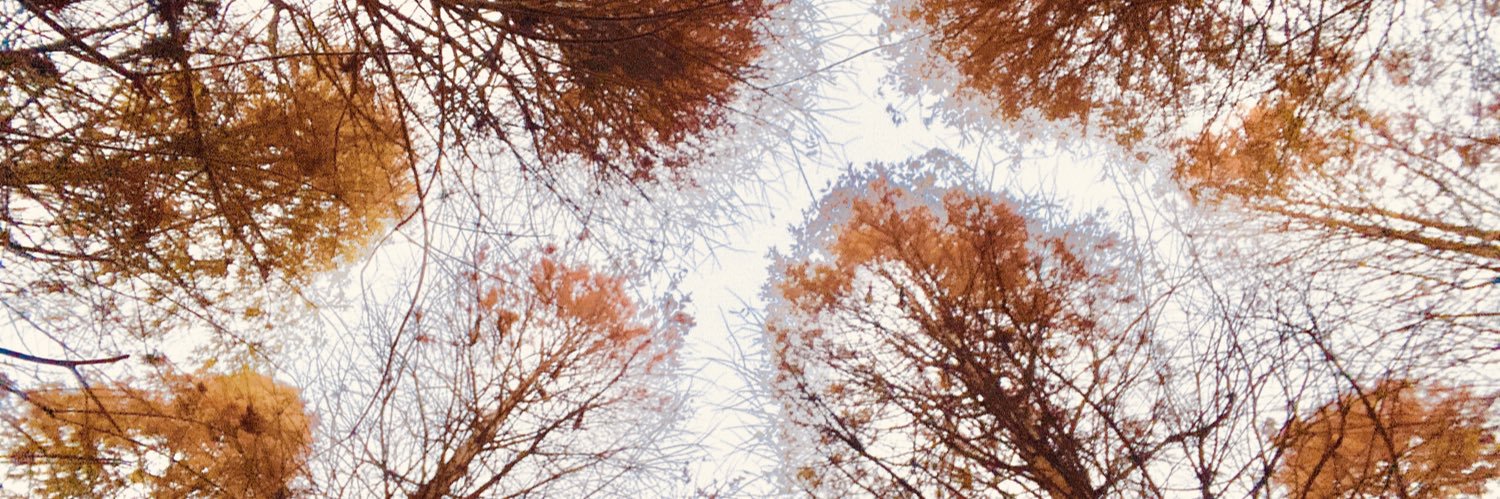 Stanny87835868's profile banner image