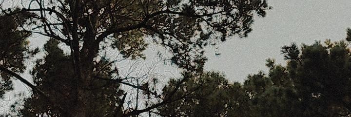 lulagomez26's profile banner image