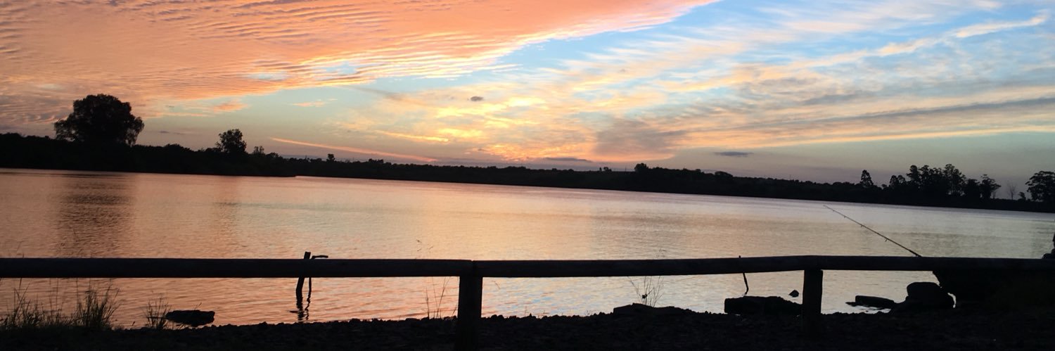 яσѕу🦋🌈 banner