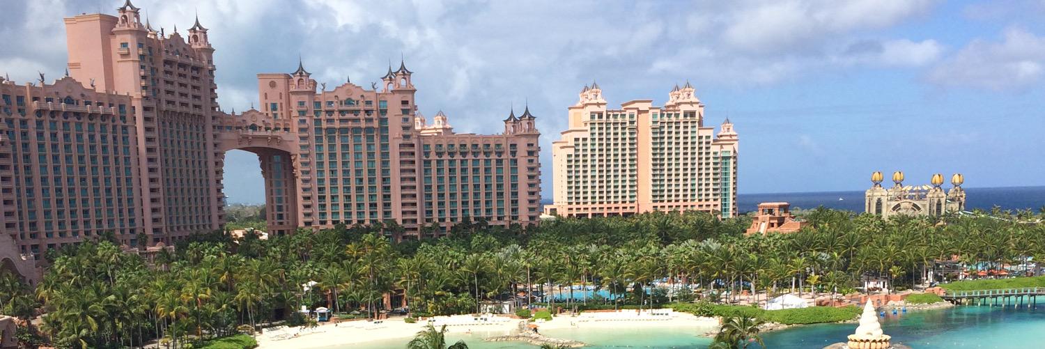 Marcus Alessandro banner