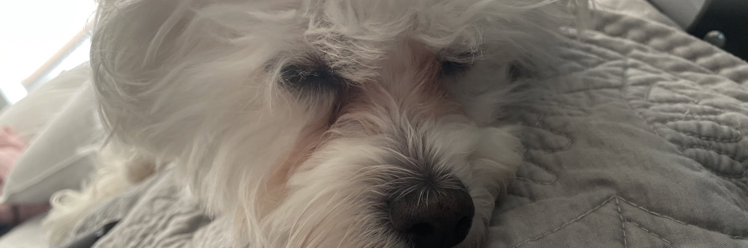 baileywells1633's profile banner image