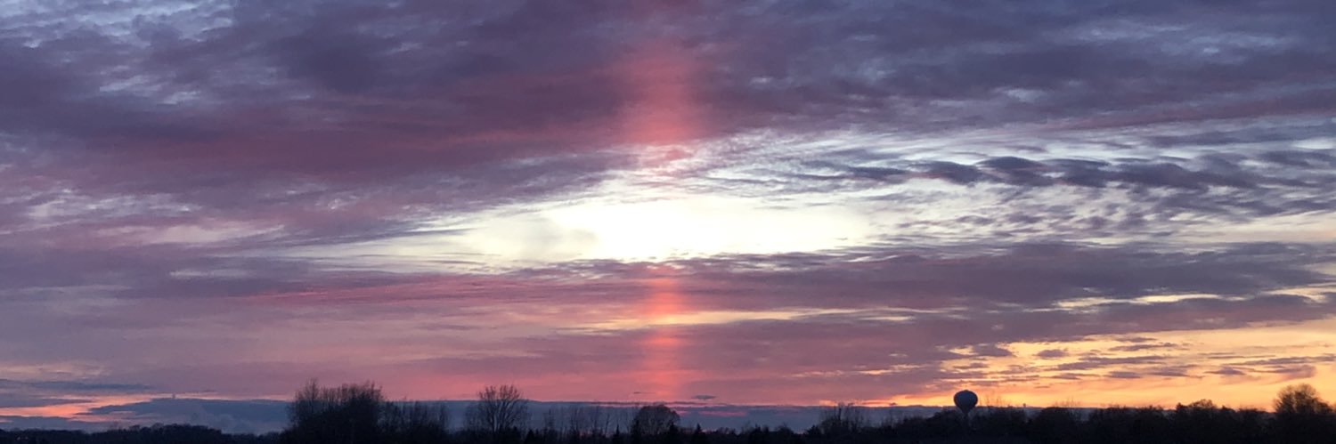 Catherine Lyons banner