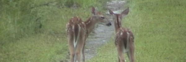 LindaNorth7's profile banner image