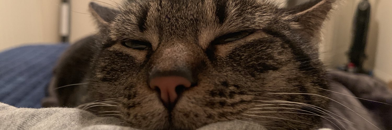 TristonRayy's profile banner image