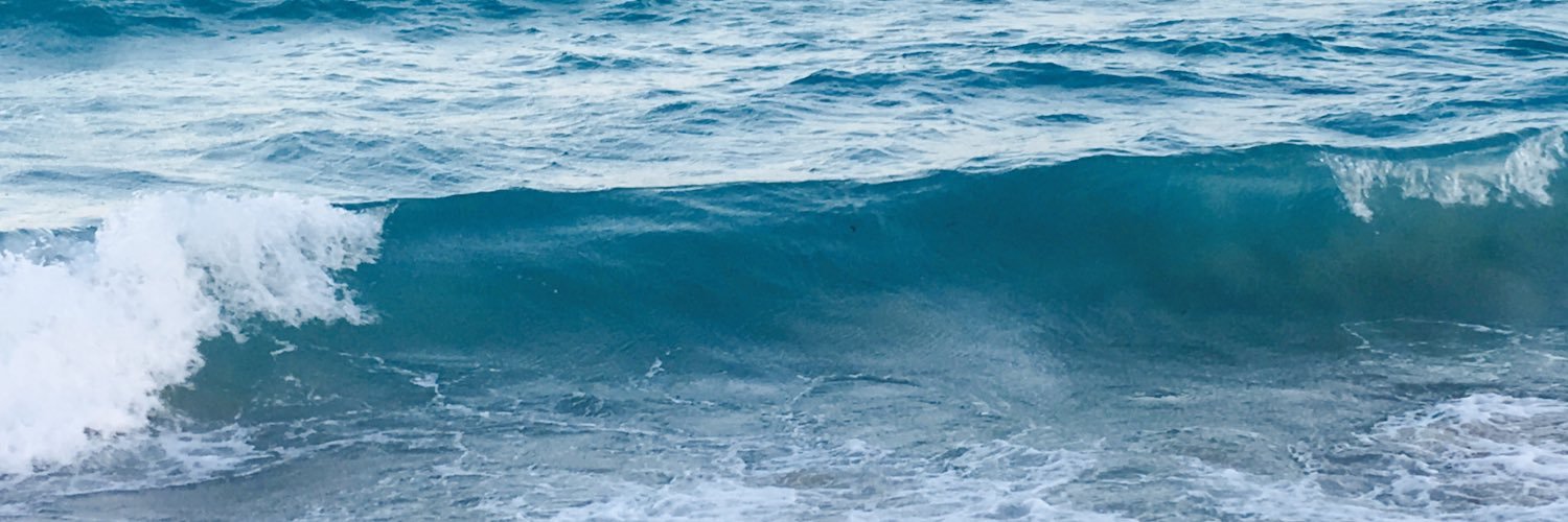 trisoluc's profile banner image