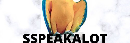 Sspeakalot's profile banner image