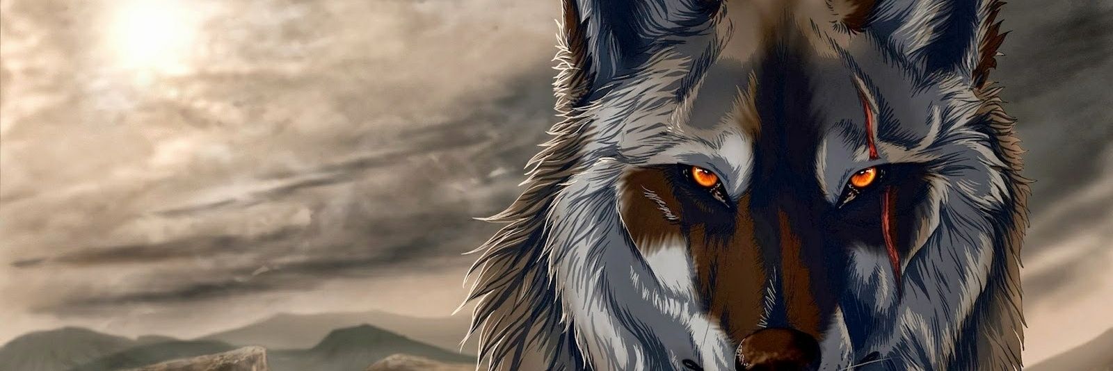 4LIFEREALRWV's profile banner image