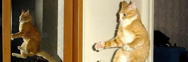 lolet__'s profile banner image