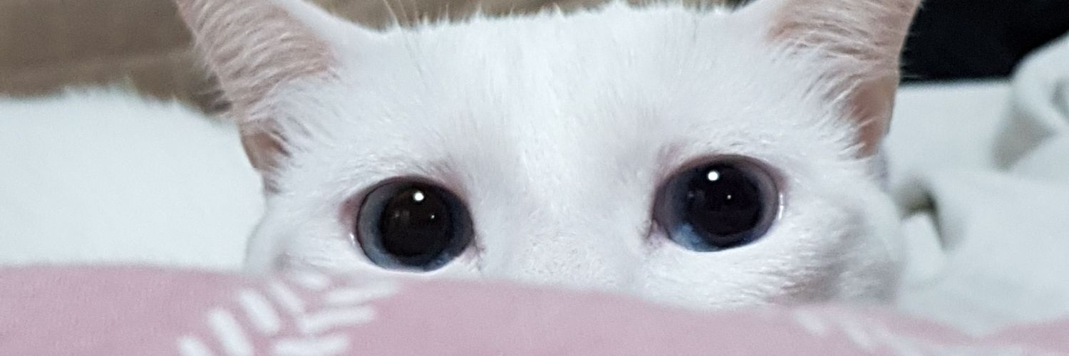 Gabihlp's profile banner image