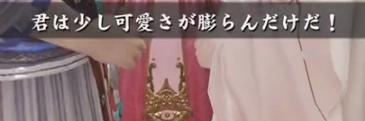 芍薬サレナ（しゃくやく） banner