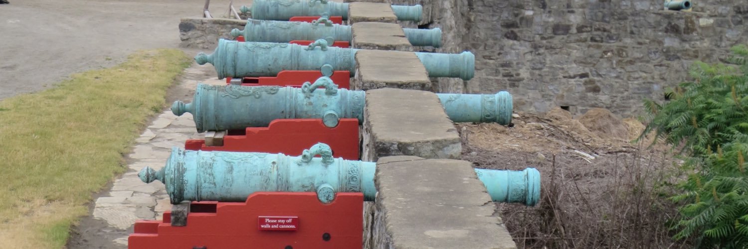 Amy 🇺🇦🇵🇸🏳️‍⚧️ banner