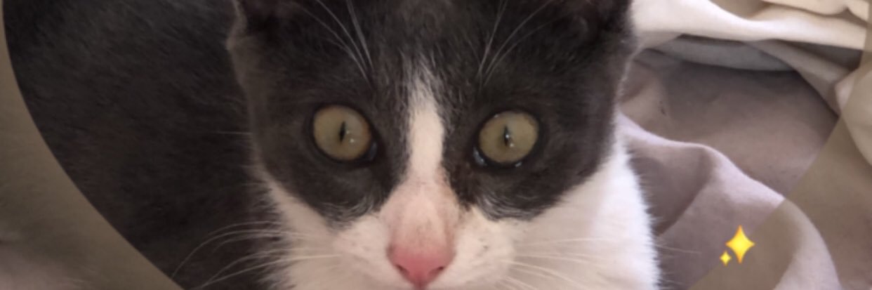 cosnardevv's profile banner image