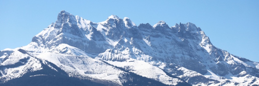 Loïck Roche (Officiel) banner