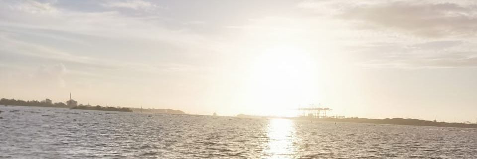 arvmoh97's profile banner image