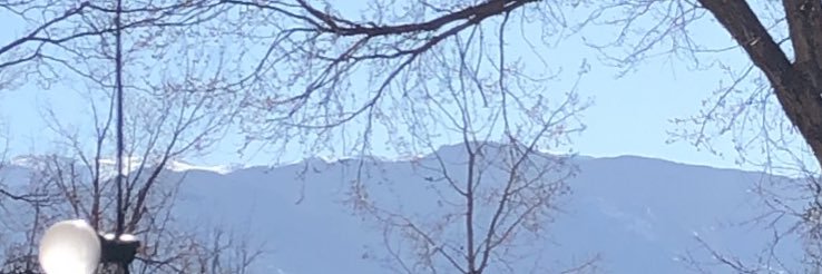 flips whitefudge banner