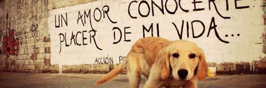 accionpoco's profile banner image