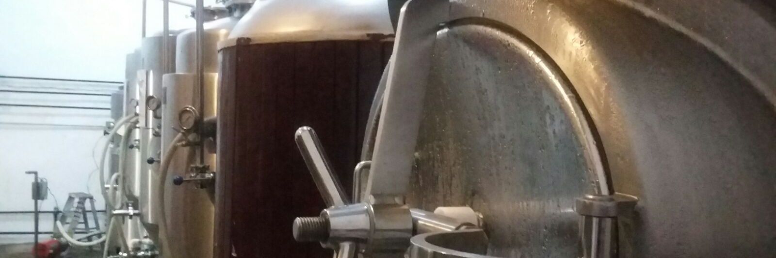 Cerveza Chaneque banner