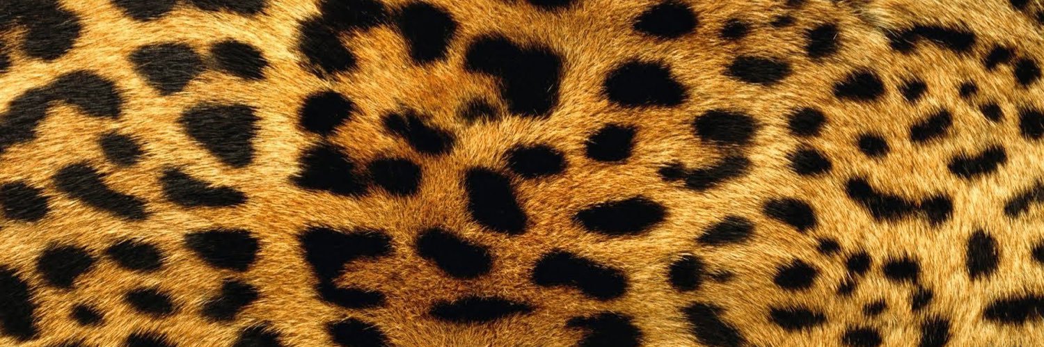 janeDOUGH_'s profile banner image