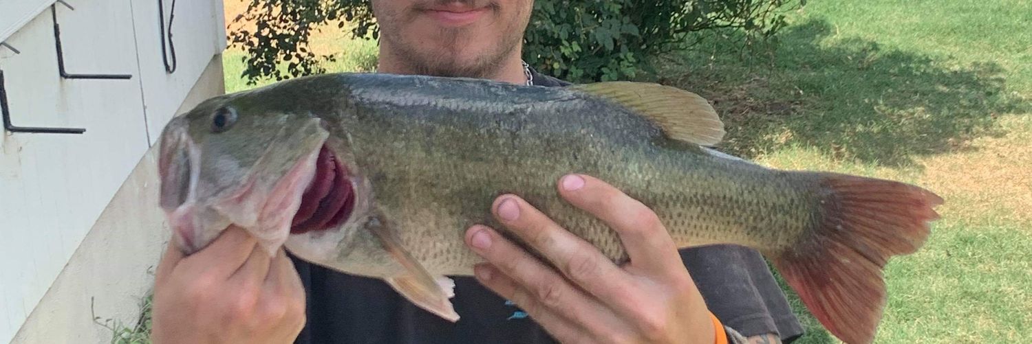 Brian caloway banner