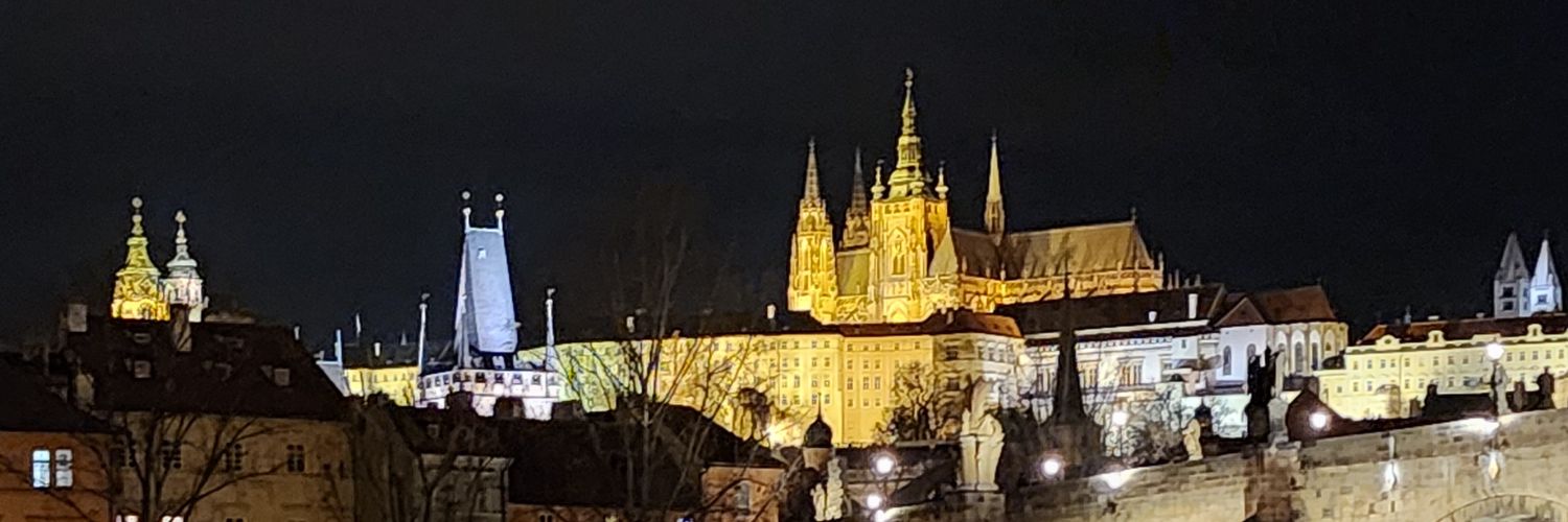 Nincy Perdomo banner