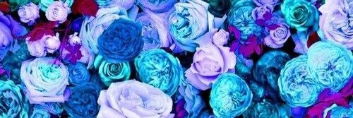 eriikachavez's profile banner image