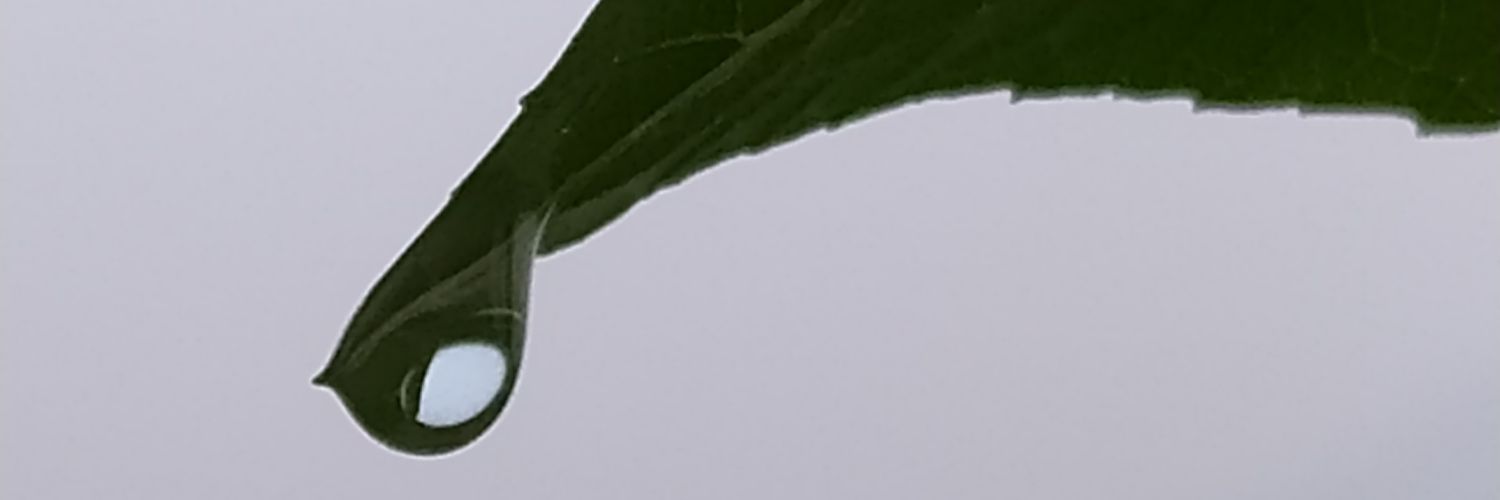 Indrabayu banner