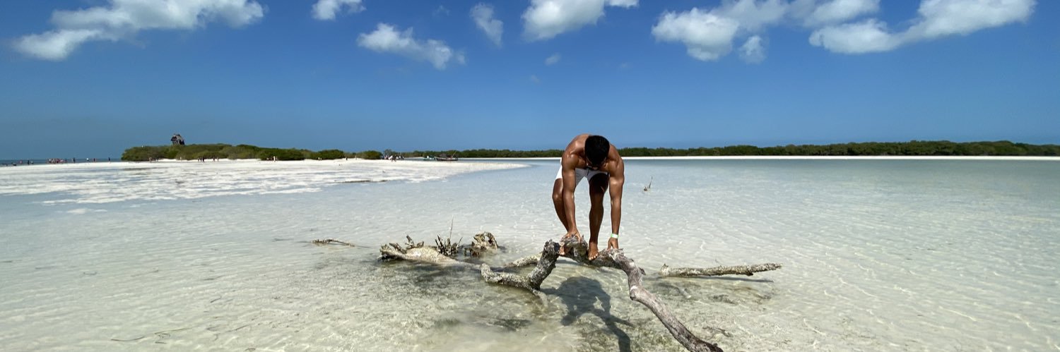 crypto_navigatorX banner