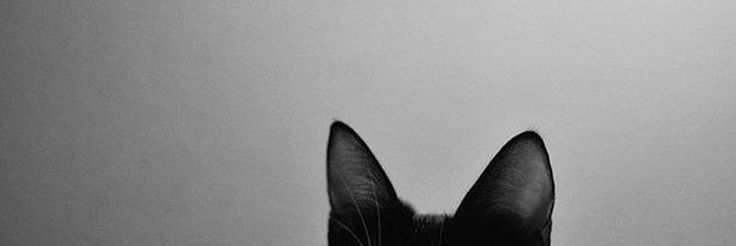 rlvxn's profile banner image