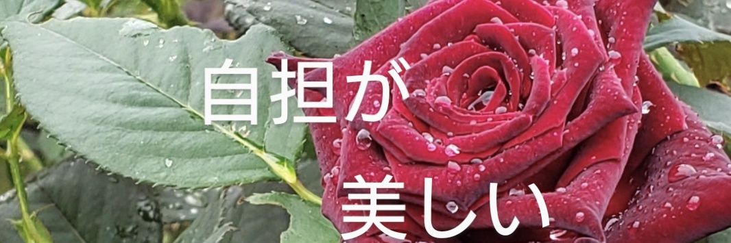 kismykuma's profile banner image