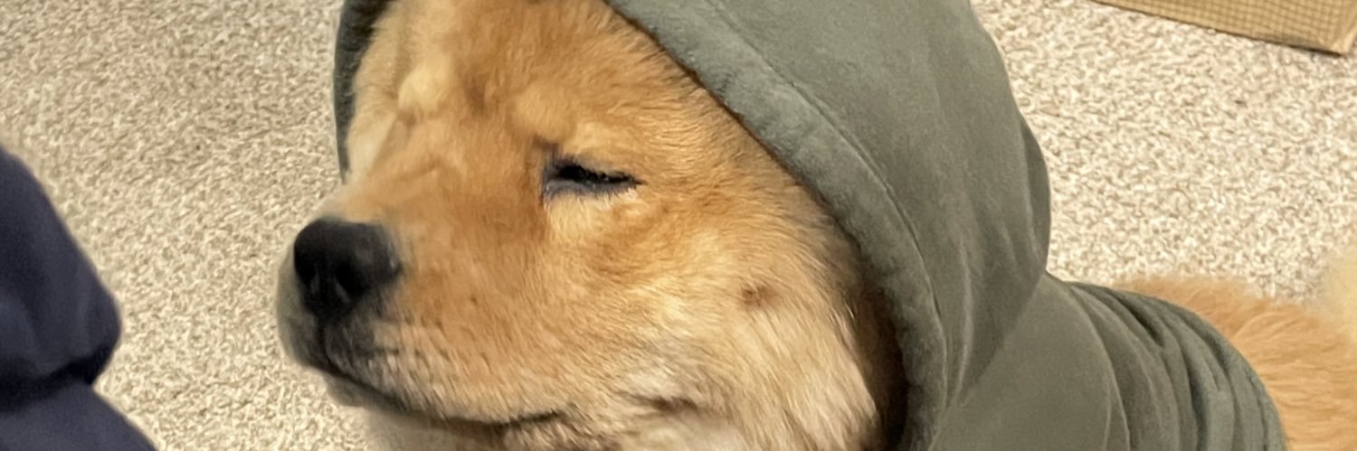 bbrosa8's profile banner image