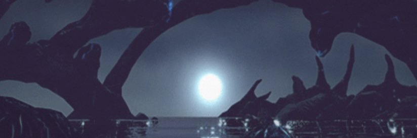 sosa banner