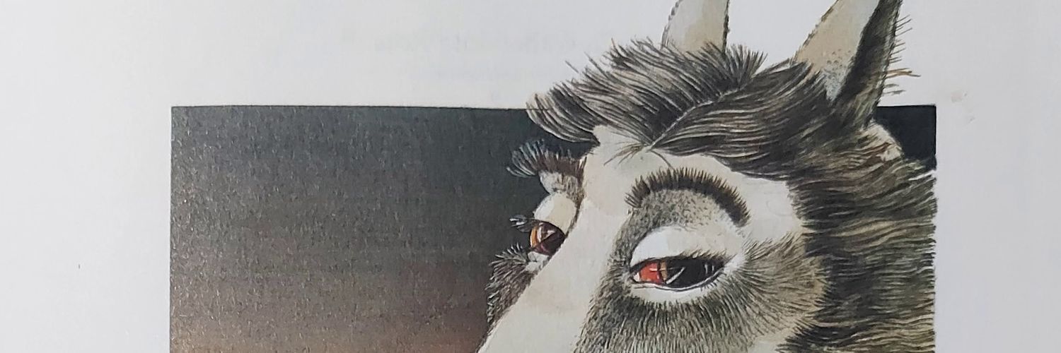arbustt's profile banner image