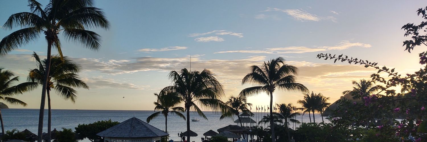 Metalivy74's profile banner image