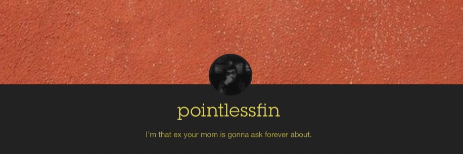 pointlessfin's profile banner image