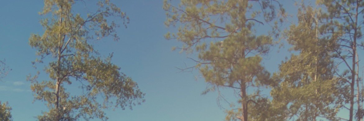 beasleykelt's profile banner image