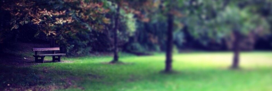 arezoojafi's profile banner image