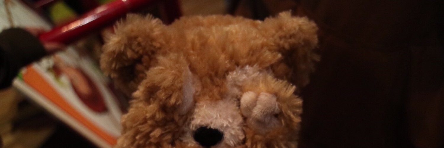 bun_mt's profile banner image