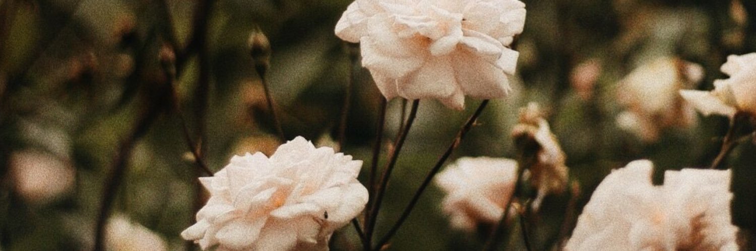 BushraSalous's profile banner image